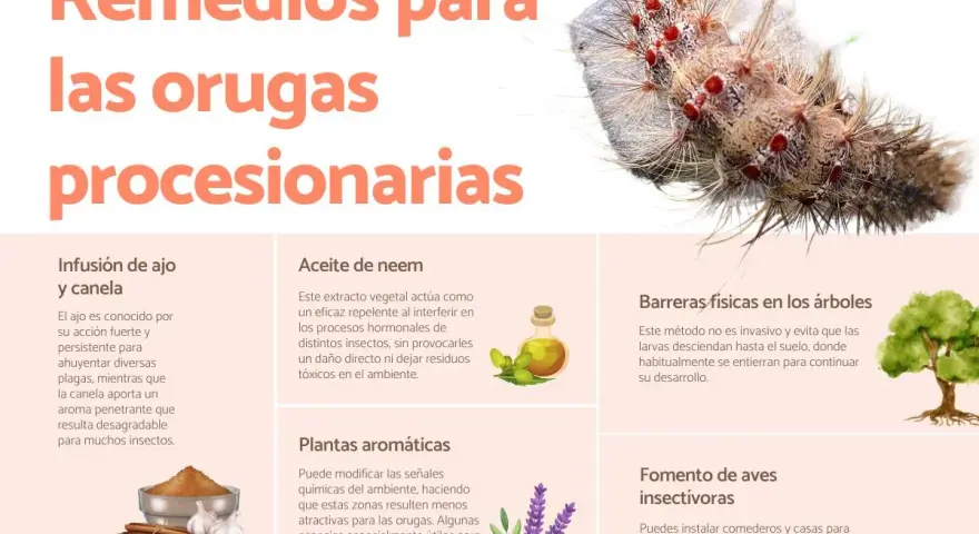 Remedios para orugas procesionarias: infusión de ajo, aceite de neem, plantas aromáticas, barreras físicas y fomento de aves insectívoras para controlar cómo eliminar la procesionaria en el suelo.