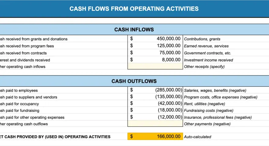 Nonprofit financial planning: A cash flow statement showing inflows from grants, fees, and contracts, and outflows for salaries, rent, and fundraising.