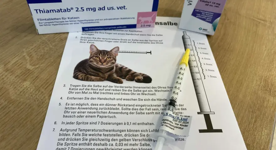 Wichtige Medikamente bei Schilddrüsenüberfunktion bei Katzen und ihre Wirkung