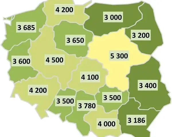 Ile zarabia geodeta w Polsce? Zaskakujące różnice w wynagrodzeniach