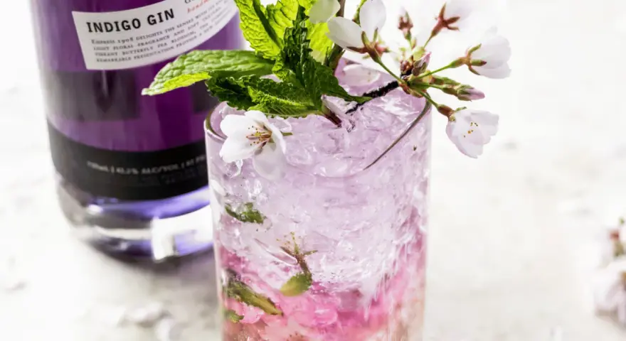 Przepis na drink "Broken Plane" z ginem Indigo. Orzeźwiający koktajl z lodem, miętą i kwiatami wiśni.