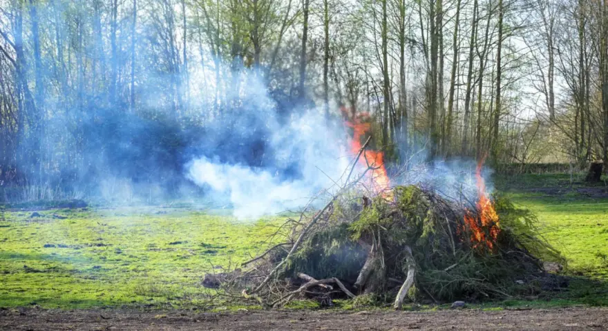 Ogień i dym z palonych gałęzi na podwórku. Uważaj, bo to może być mandat za palenie śmieci.
