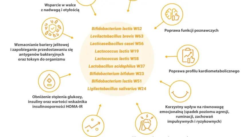 Diagram przedstawia korzyści z probiotyków, m.in. wsparcie w walce z nadwagą, poprawę funkcji poznawczych i tolerancji metforminy.
