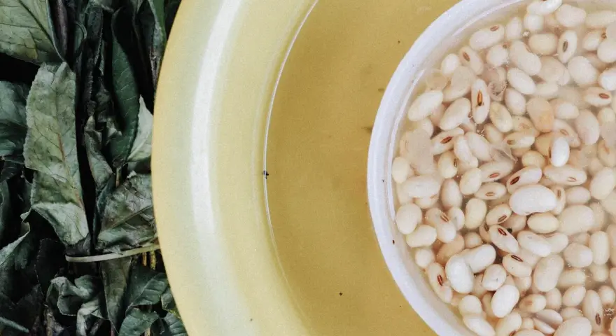 Alubias blancas remojándose en agua, junto a hojas verdes y un cuenco amarillo.