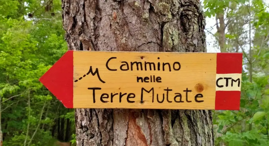 Cartello in legno con freccia rossa indica il "Cammino nelle Terre Mutate". CTM.