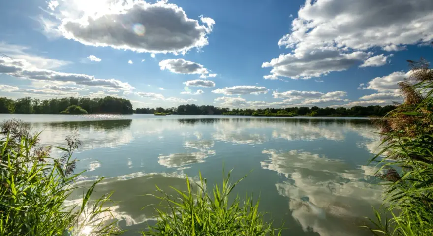 Sonnenschein über dem celle see, mit Wolken, die sich im ruhigen Wasser spiegeln. Schilf säumt das Ufer.
