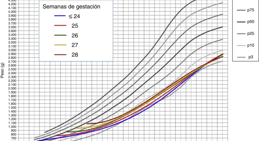 Gráfico de peso fetal por semanas de gestación, mostrando percentiles. El producto nacional neto se relaciona con el crecimiento.