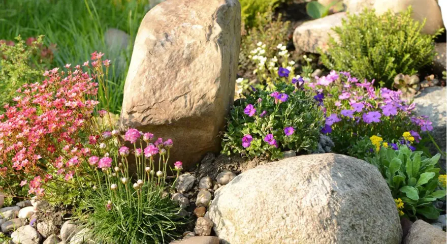 Natürliche Steine und bunte Blumen verschönern den Garten. Ein Steinbeet mit rosa und lila Blüten, ideal zum **Garten dekorieren mit Steinen**.