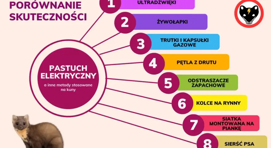 Porównanie skuteczności metod co odstrasza kuny: pastuch elektryczny, ultradźwięki, żywołapki, trutki, odstraszacze zapachowe, sierść psa i inne.