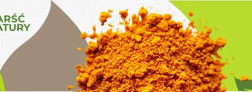 Curry: Zdrowotne właściwości i pułapki. Jak jeść mądrze?