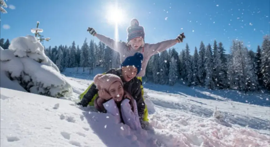 Niños felices en trineo, disfrutando de las vacaciones de invierno cuando empiezan. Nieve cayendo, sol brillante y árboles nevados.
