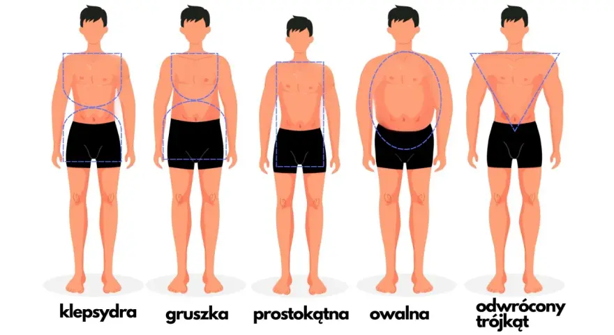 Pięciu mężczyzn o różnych sylwetkach: klepsydra, gruszka, prostokątna, owalna i odwrócony trójkąt. Jeden z nich, o owalnej budowie, jest wyraźnie krępy.
