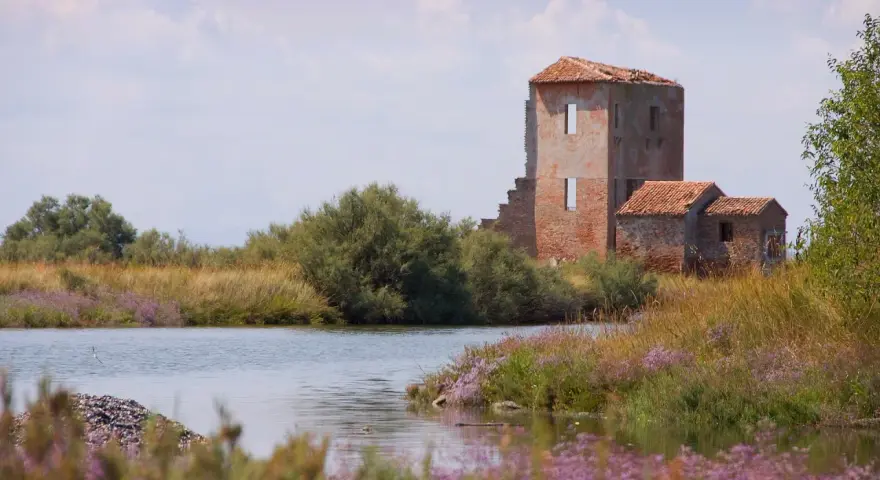 Rovine di un antico edificio tra canneti e fiori viola, un paesaggio suggestivo nei dintorni di Ferrara.