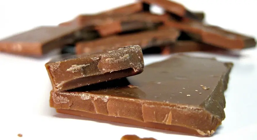 En hög med chokladbitar, några staplade, andra utspridda. Chokladfinnarna ser sega och söta ut.