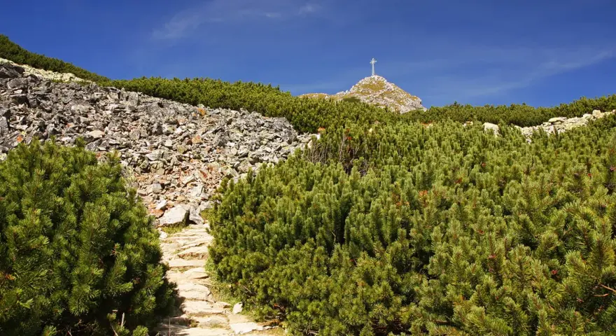 Kamienista ścieżka, niebieski szlak na Giewont, wśród kosodrzewin i skalistych zboczy. Na szczycie widoczny krzyż.