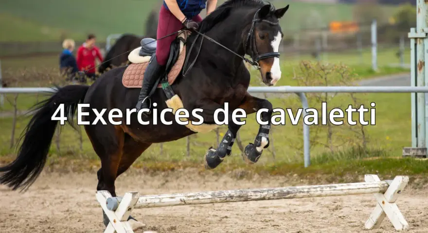 Un cheval brun saute par-dessus un obstacle de **cavaletti équitation**. Le cavalier est en selle, prêt pour l'entraînement.