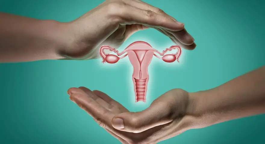 Dłonie otaczają macicę z jajowodami. Ilustracja symbolizuje troskę o zdrowie reprodukcyjne i pokazuje, jak wyczuć zamkniętą szyjkę macicy.