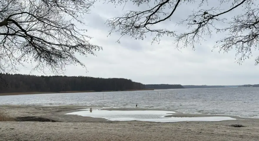 Plaża nad jeziorem, z widokiem na las. W oddali widać słupy, być może pozostałości po dawnej infrastrukturze pola namiotowego Anastazewo.