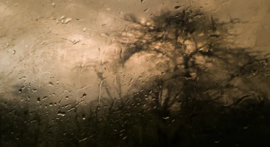 Gouttes de pluie sur une vitre, floutant l'ombre d'un arbre. Belles photos sous la pluie, une ambiance mélancolique et artistique.