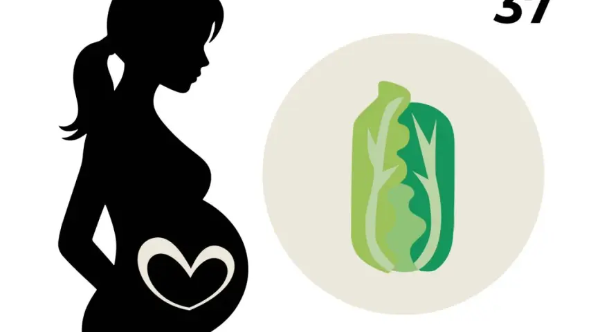 Silhouetten einer schwangeren Frau mit einem Herzsymbol auf dem Bauch. Daneben eine Illustration eines Salatkopfes und die Zahl 37, die die 37. SSW symbolisiert.