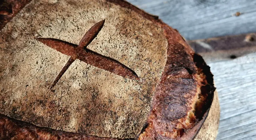 Ein frisch gebackenes Brot mit dunkler Kruste und einem Kreuzschnitt. So wird selbstgebackenes Brot dunkel: durch die Maillard-Reaktion beim Backen.