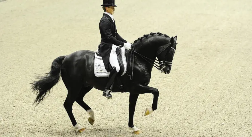 Un cavalier en habit de soirée monte un cheval noir, Totilas, dans une arène de dressage.