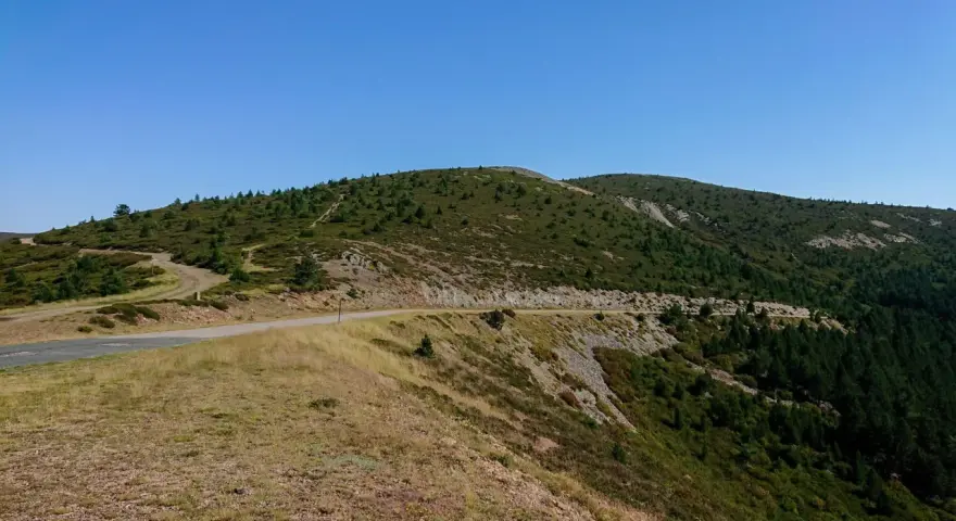 Carretera serpenteante en un paso de montaña cubierto de vegetación y árboles.