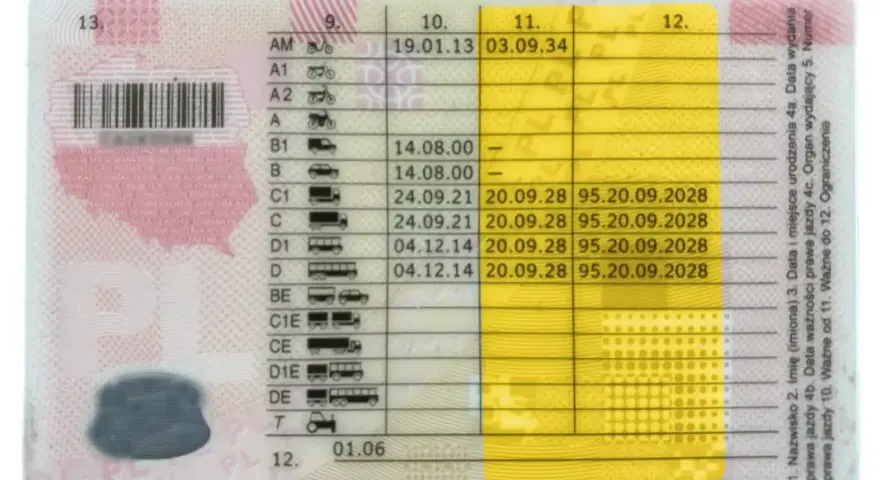 Badania na C+E: Koszty, terminy, przygotowanie. Wszystko, co musisz wiedzieć