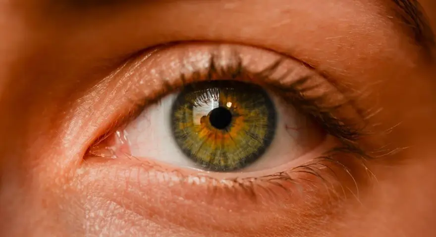 Occhio con iride verde-ambra, riflessi nella pupilla. Potrebbe essere un'immagine legata a iniezione intravitreale effetti collaterali.