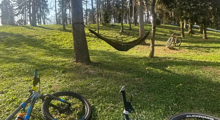 Relaks po przejażdżce po trasach rowerowych okolic Warszawy. Hamak i rowery czekają na odpoczynek w lesie.