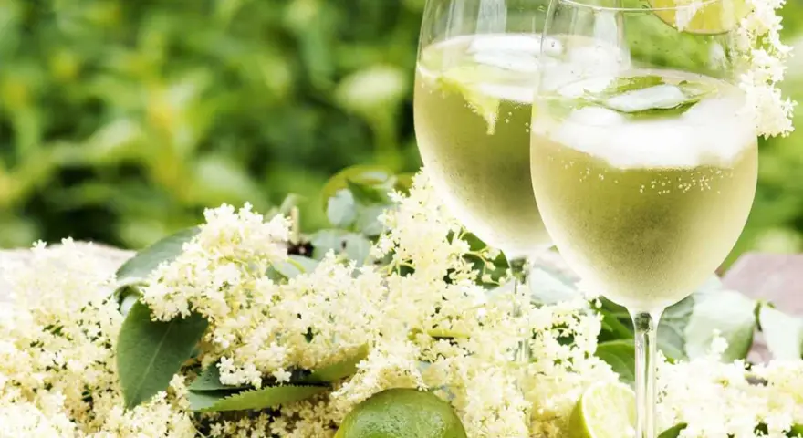 Två glas Hugo Spritz med fläderblommor och lime. En perfekt sommardrink!