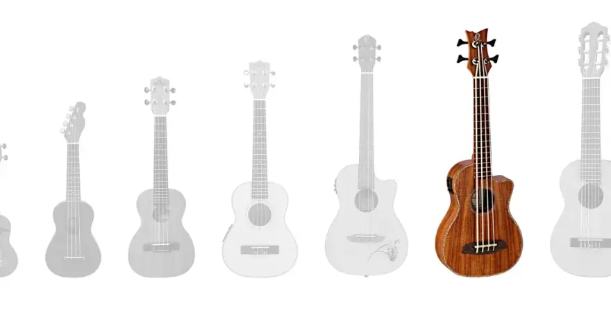 Eine Reihe von Ukulelen und einer Bassgitarre, ideal für die Musikschule.