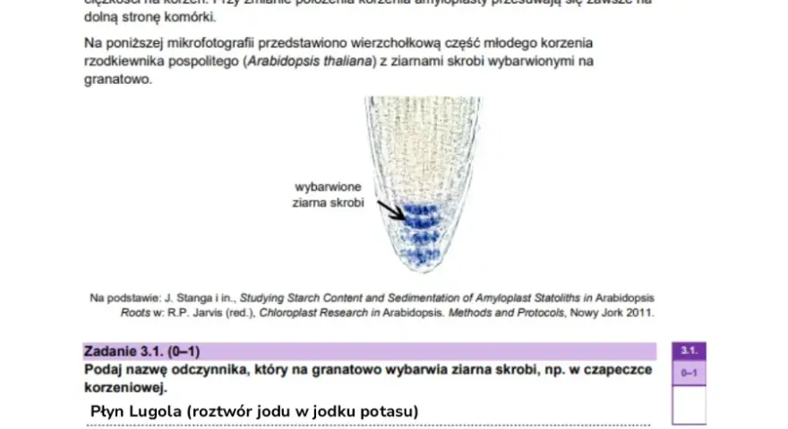 Ile punktów na maturze z biologii? Odkryj, jak je zdobyć!