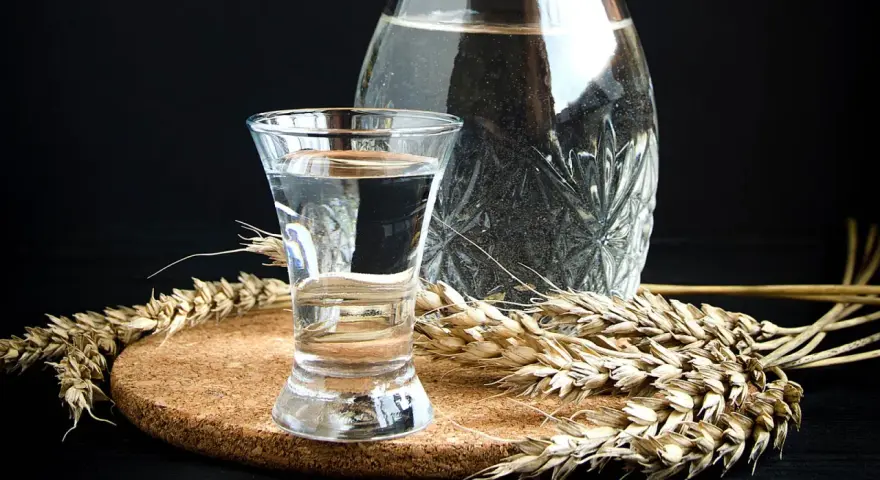 Klares Glas mit Wodka, daneben eine Karaffe und Ähren. Die Zutaten für die Wodka Herstellung sind sichtbar.