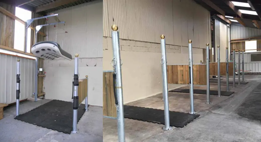 Aménagement d'une **dimension aire de pansage chevaux** avec tapis antidérapants et poteaux de contention. Un système de levage est visible.