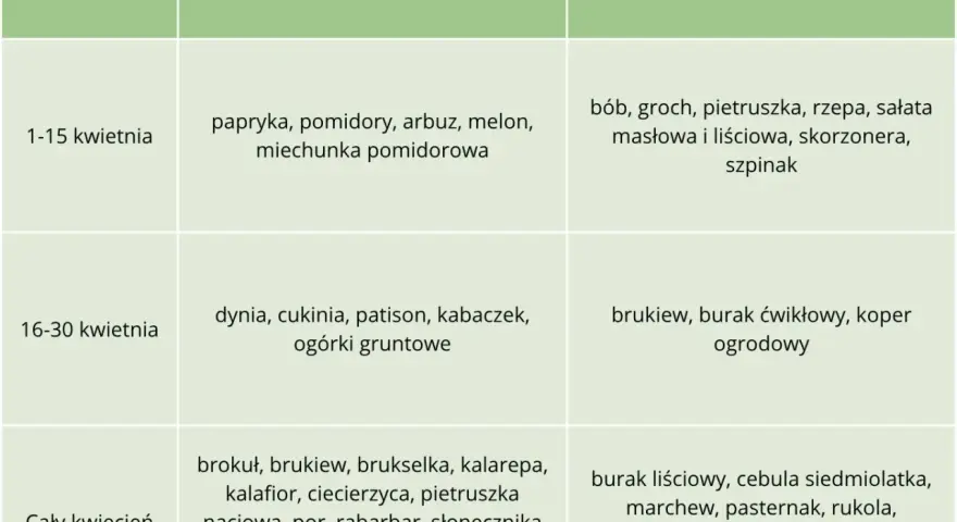 Tabela podpowiada, co siać w kwietniu do gruntu: bób, groch, rzepę, sałatę, szpinak (1-15 kwietnia), brukiew, buraka, koper (16-30 kwietnia) i wiele innych warzyw przez cały miesiąc.