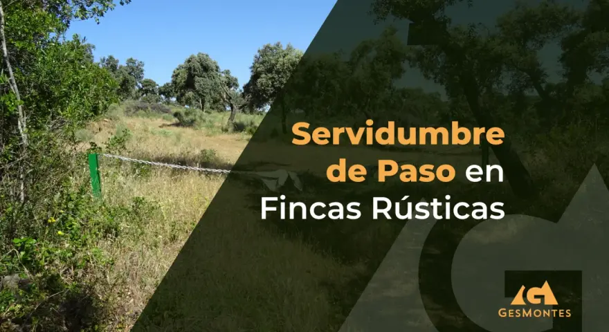 Paisaje rural con texto "Servidumbre de Paso en Fincas Rústicas". Explora la diferencia entre finca y parcela.