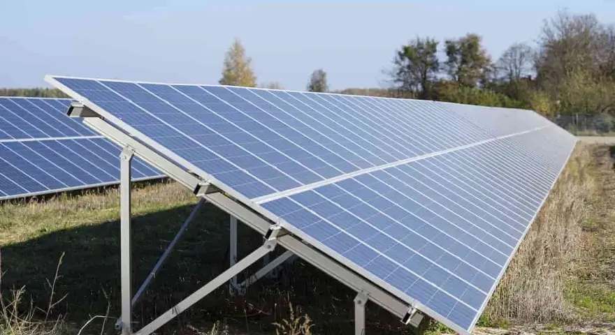 Duża instalacja PV na polu, panele słoneczne ustawione pod kątem, w tle drzewa i błękitne niebo.