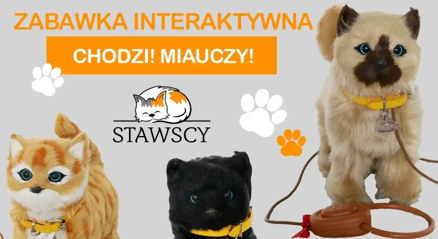 Gdzie kotek ma? Odkryj radość i zabawę w tej interaktywnej książce