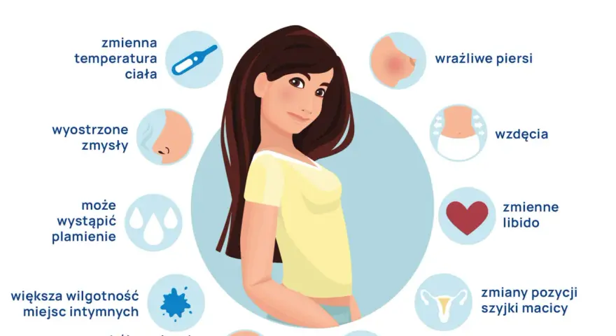 Ilustracja przedstawia objawy owulacji, takie jak zmienna temperatura ciała, wrażliwe piersi, wzdęcia, zmiany libido, bóle głowy, zmiany szyjki macicy, ból owulacyjny, większa wilgotność miejsc intymnych, plamienie, wyostrzone zmysły.