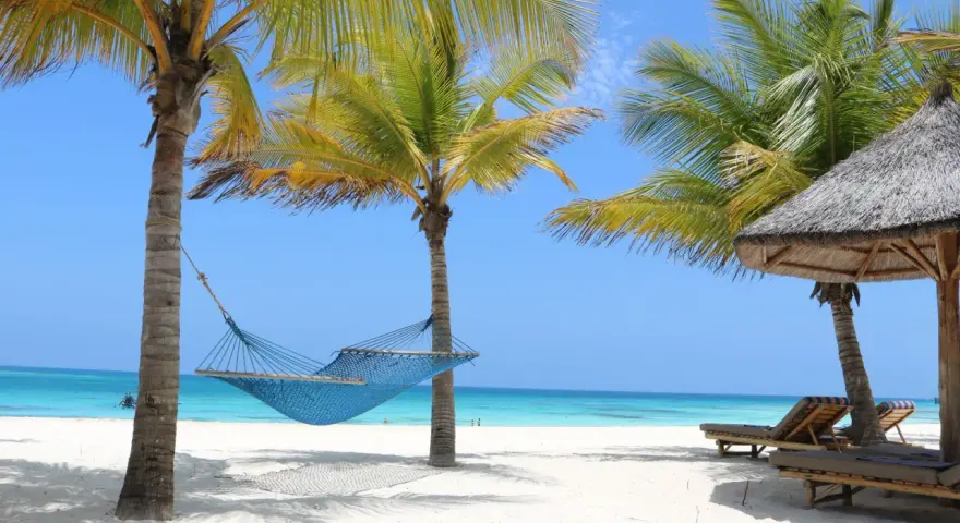 Błękitna hamak między palmami na piaszczystej plaży, z leżakami i oceanem w tle. Idealne miejsce na relaks w Zanzibarze.