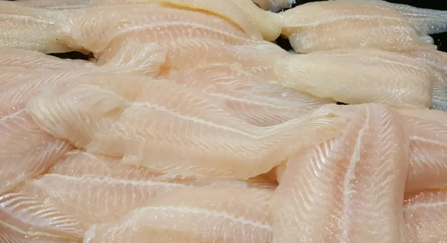 Panga i tilapia: Czy warto je jeść? Ryzyko i zdrowe wybory