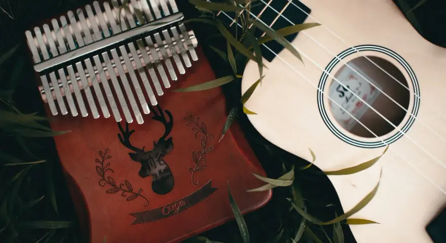 Kalimba 17 blaszek jak grać? Instrumenty muzyczne leżą wśród zieleni.