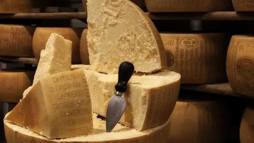 Czy parmezan można zastąpić grana padano? Odkryj smaki i różnice