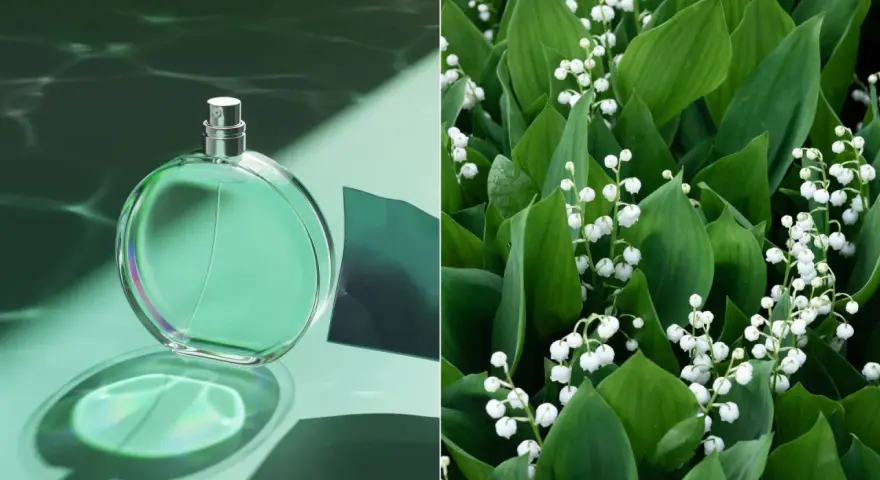 Zielona butelka perfum konwaliowych na tle wodnych refleksów i bujnych, zielonych liści z białymi dzwoneczkami konwalii.