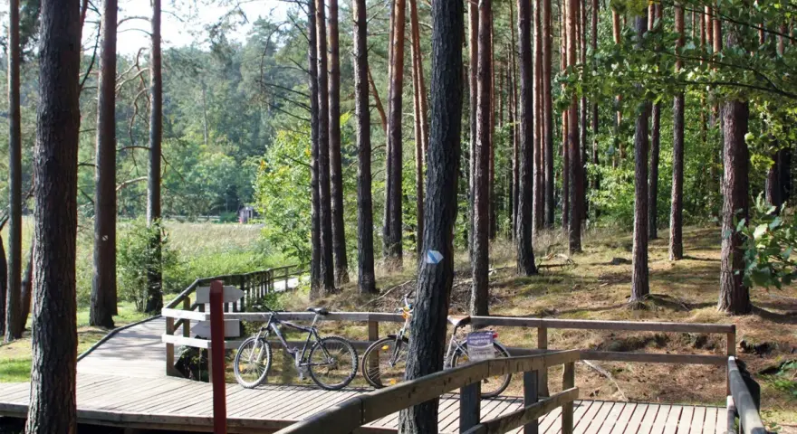 Dwie rowery czekają na przygodę na drewnianej kładce. Trasa rowerowa Roztocze zaprasza do odkrywania leśnych zakątków.