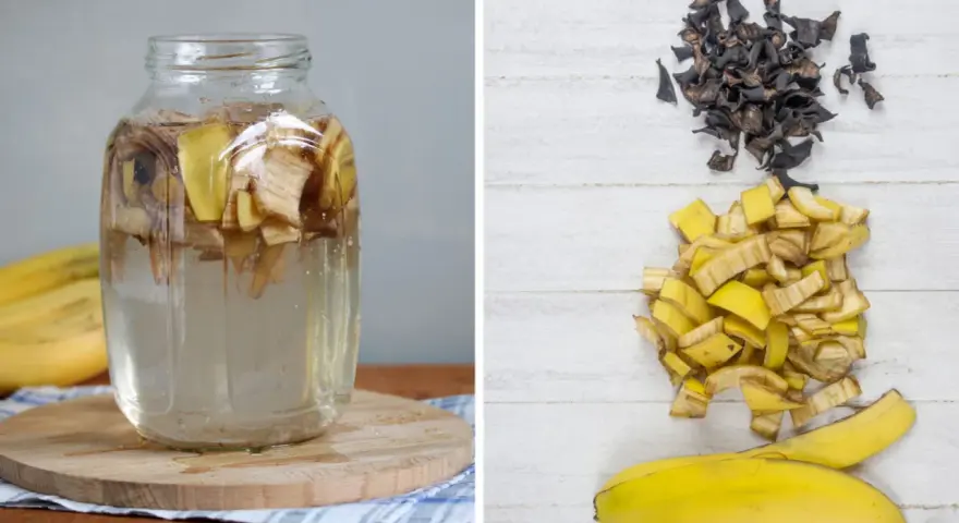 Słoik z wodą i kawałkami bananów, obok stosy skórek. To domowy nawóz z banana dla roślin.