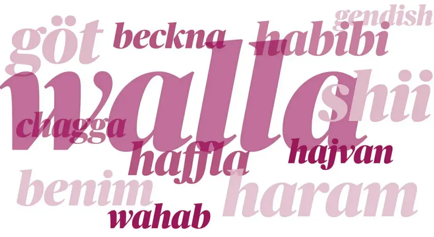 Ord som "walla", "habibi" och "chagga" i olika rosa nyanser. En visuell representation av slang språk.