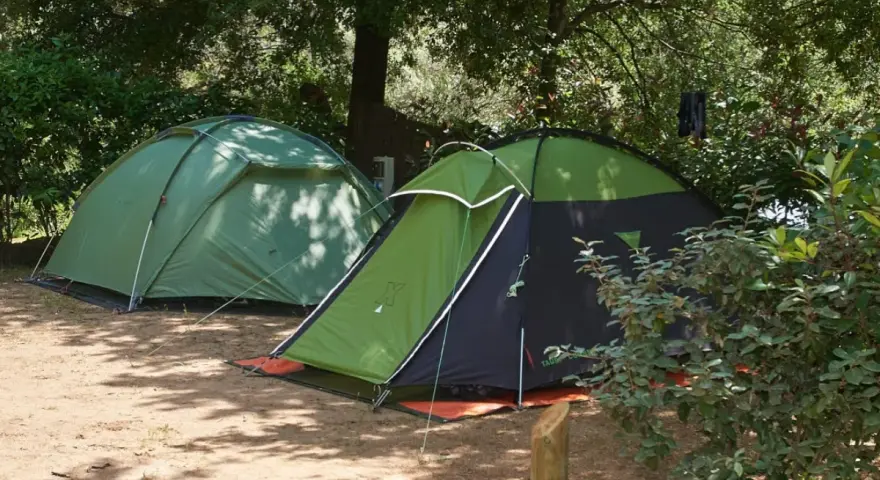 Dwie zielone namioty na piaszczystym podłożu, otoczone drzewami. Idealne miejsce na korsyka camping.