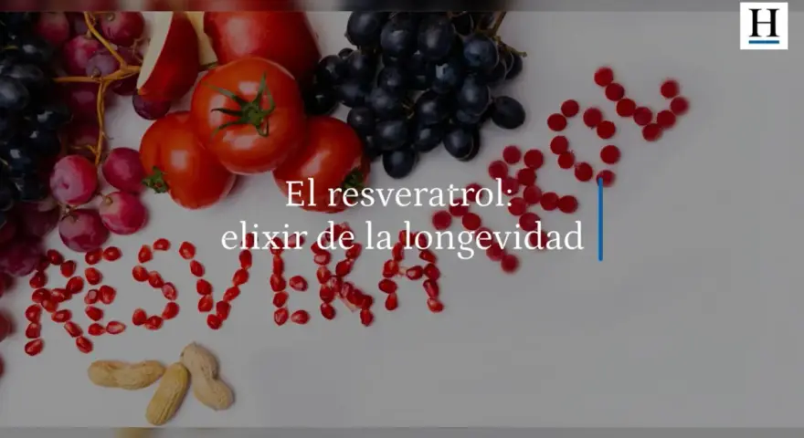 Uvas, tomates, arándanos y granadas forman la palabra "Resveratrol", destacando alimentos con resveratrol, el elixir de la longevidad.